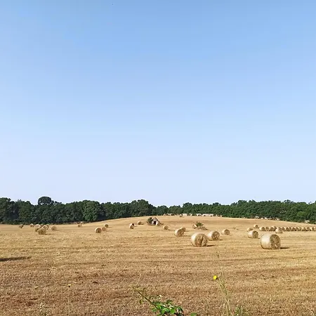 Σπίτι διακοπών Trullo In Piena Valle D'itria Del 1800 Cisternino