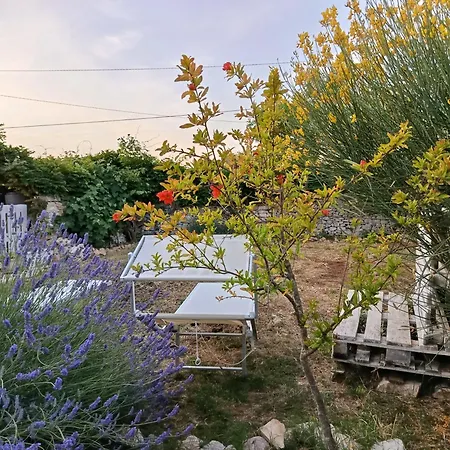 Trullo In Piena Valle D'itria Del 1800 Dom wakacyjny *