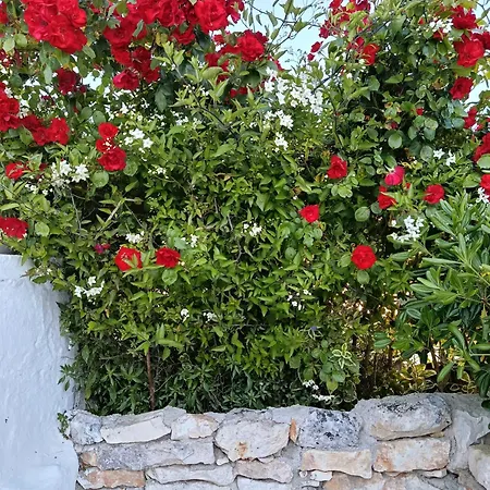 Trullo In Piena Valle D'itria Del 1800 Dom wakacyjny Cisternino